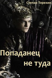 Обложка к Терехин Степан. Попаданец не туда